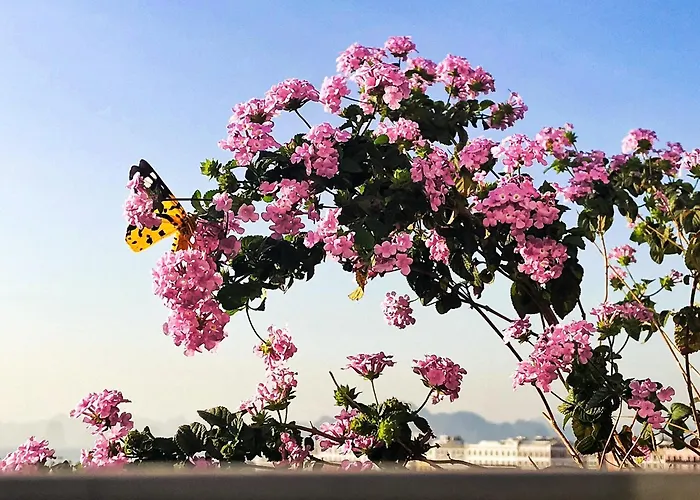 Khách sạn Edenam Boutique 3*